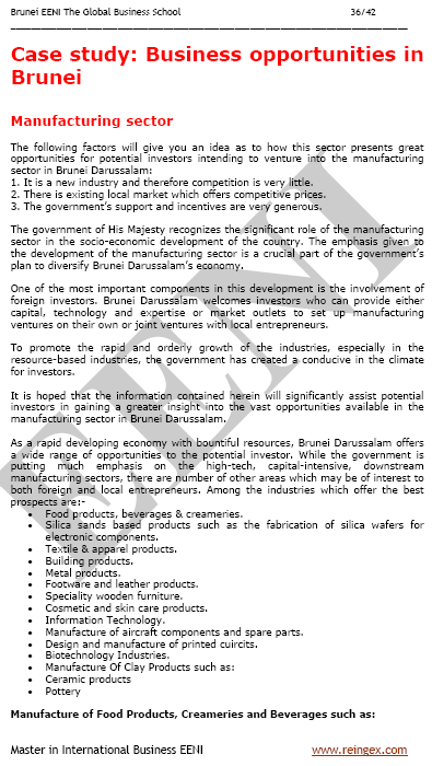 بروناي فرص الأعمال