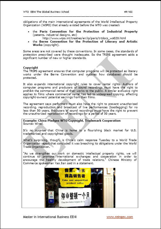 المنظمات الدولية